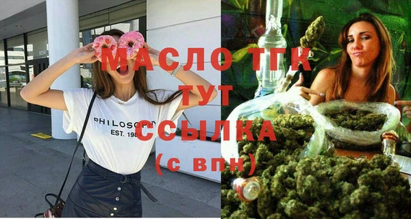 крисы Верхний Тагил