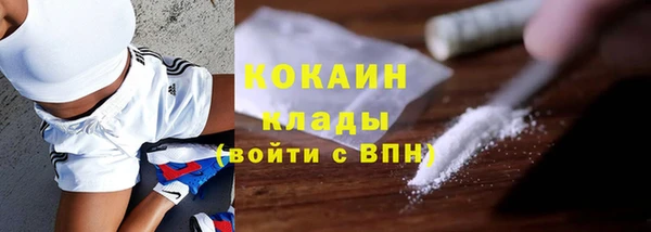 прущие крисы Верея