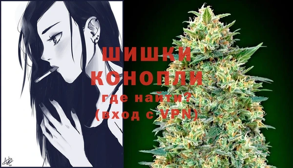 крисы Верхний Тагил