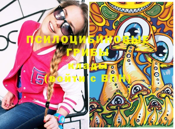крисы Верхний Тагил