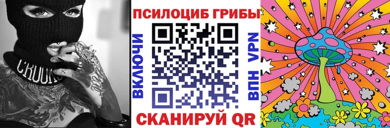 Галлюциногенные грибы GOLDEN TEACHER  Купить  Кувандык 